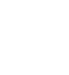 Careers 1 Asset 1revibe career