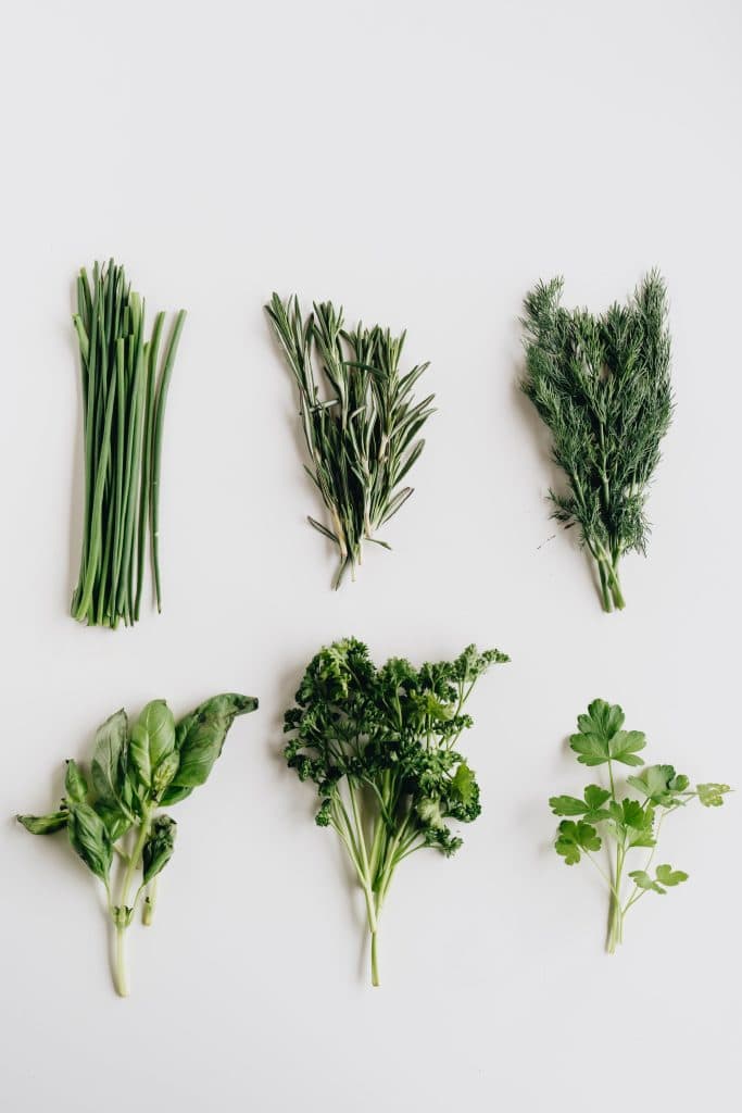 Exploring the Benefits of Nutrition Counselling in Naturopathy 2 pexels alleksana 4113898